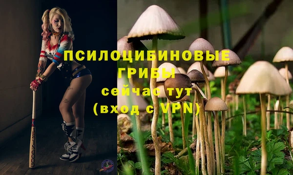 синтетический гашиш Арсеньев