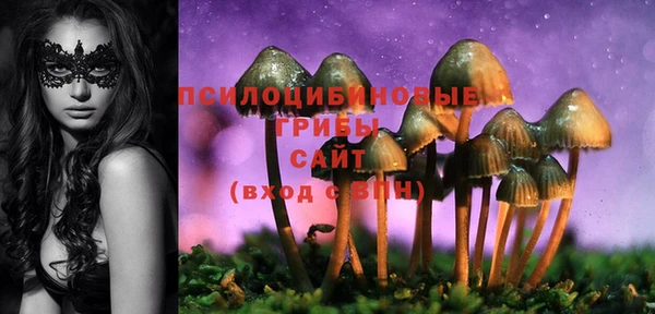 а пвп мука Армянск